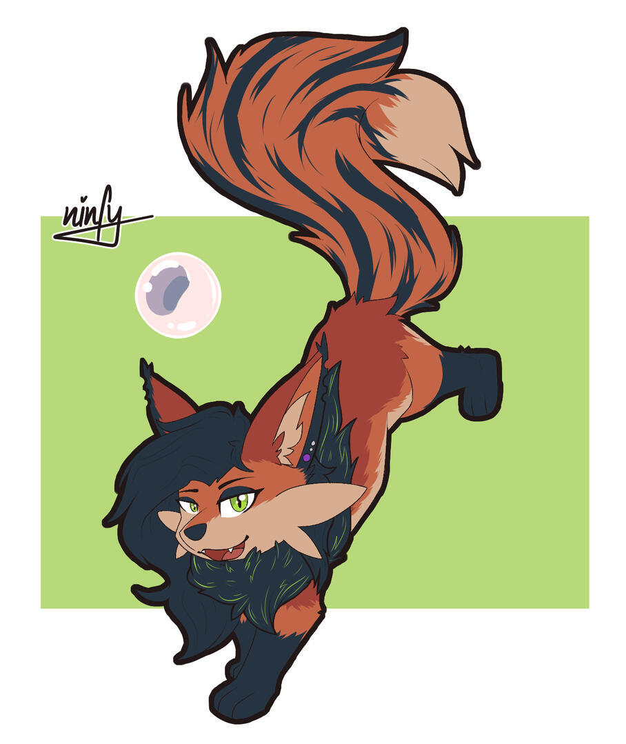 Zorua Coyote